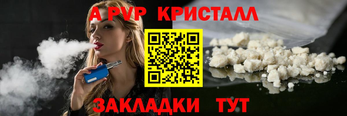 Alfa_PVP СК КРИС Урус-Мартан