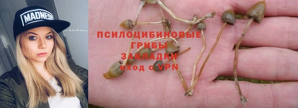 спиды Слюдянка