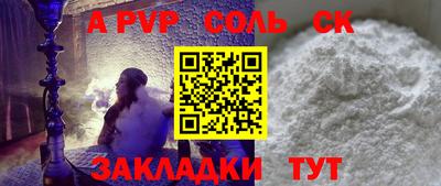 индика Камышлов