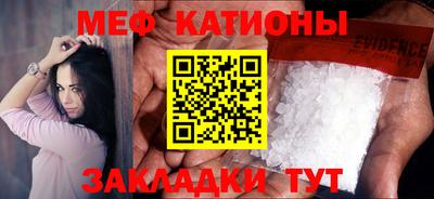 индика Камышлов