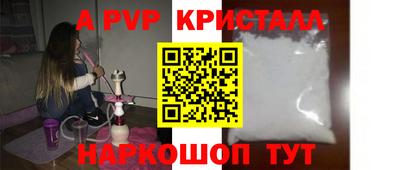 индика Камышлов