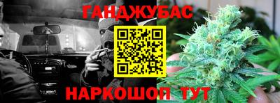 индика Камышлов
