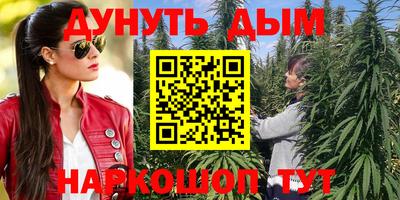индика Камышлов