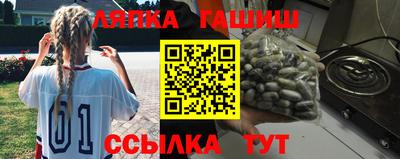индика Камышлов