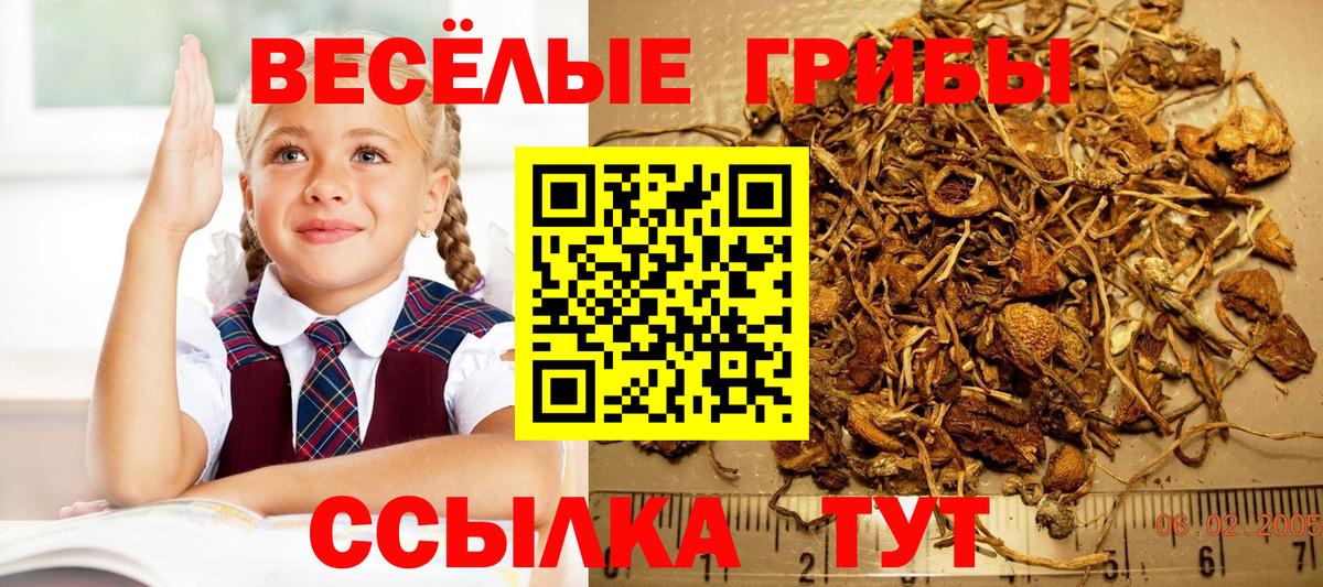 Псилоцибиновые грибы MAGIC MUSHROOMS Урус-Мартан