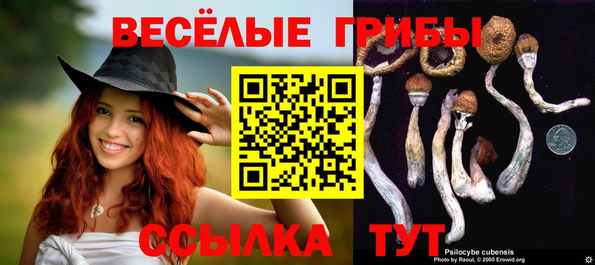 Галлюциногенные грибы Magic Shrooms  Урус-Мартан 