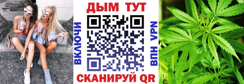 Бошки Шишки гибрид Урус-Мартан