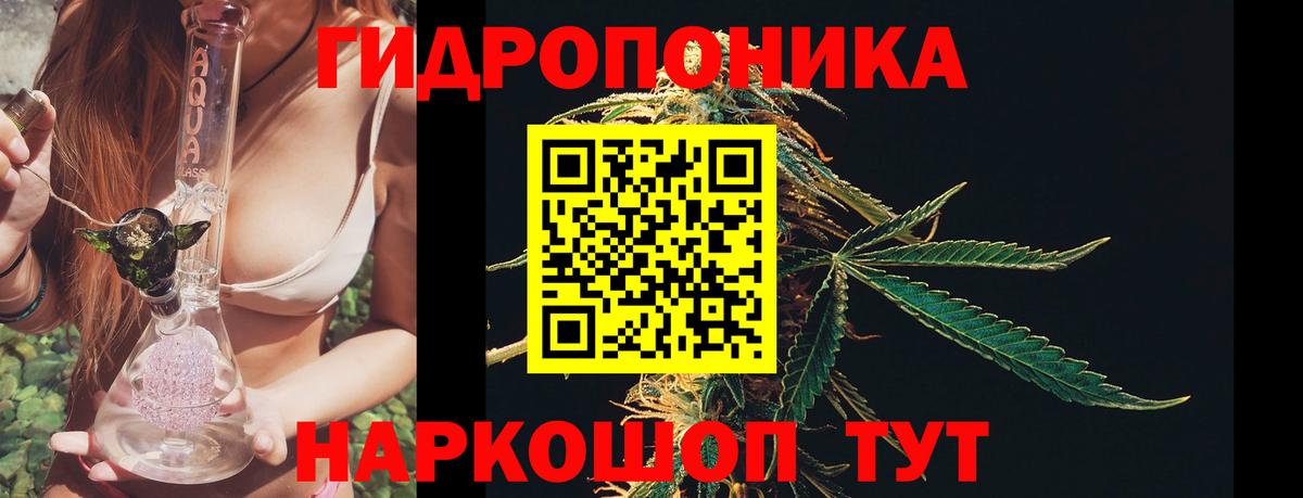 Канабис план  Каннабис Ganja  Канабис OG Kush  МАРИХУАНА сатива  Вход с VPN  Урус-Мартан 